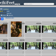 Elon Musk's page on WikiFeet, the "collaborative celebrity feet website."